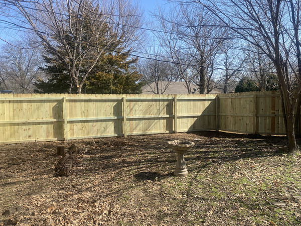 Backyard with a new wooden privacy fence, a birdbath, and several leafless trees under a clear blue sky.