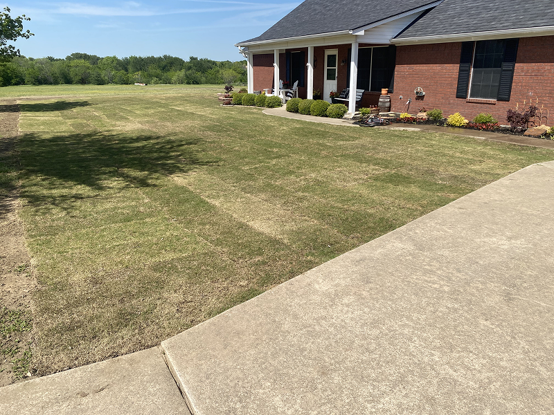 A residential lawn with patchy grass next to a concrete driveway and a brick house with a front porch.