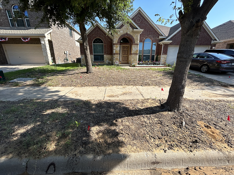 Residential house with a bare front yard and two trees casting shadows on the soil.