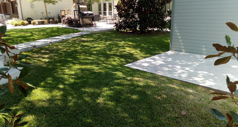 Well-maintained green lawn with a concrete patio and pathway near a house, shaded by surrounding trees.