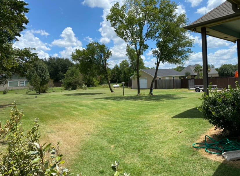 Spacious backyard with green grass, several trees, a small building with a garage, and partly cloudy blue sky.