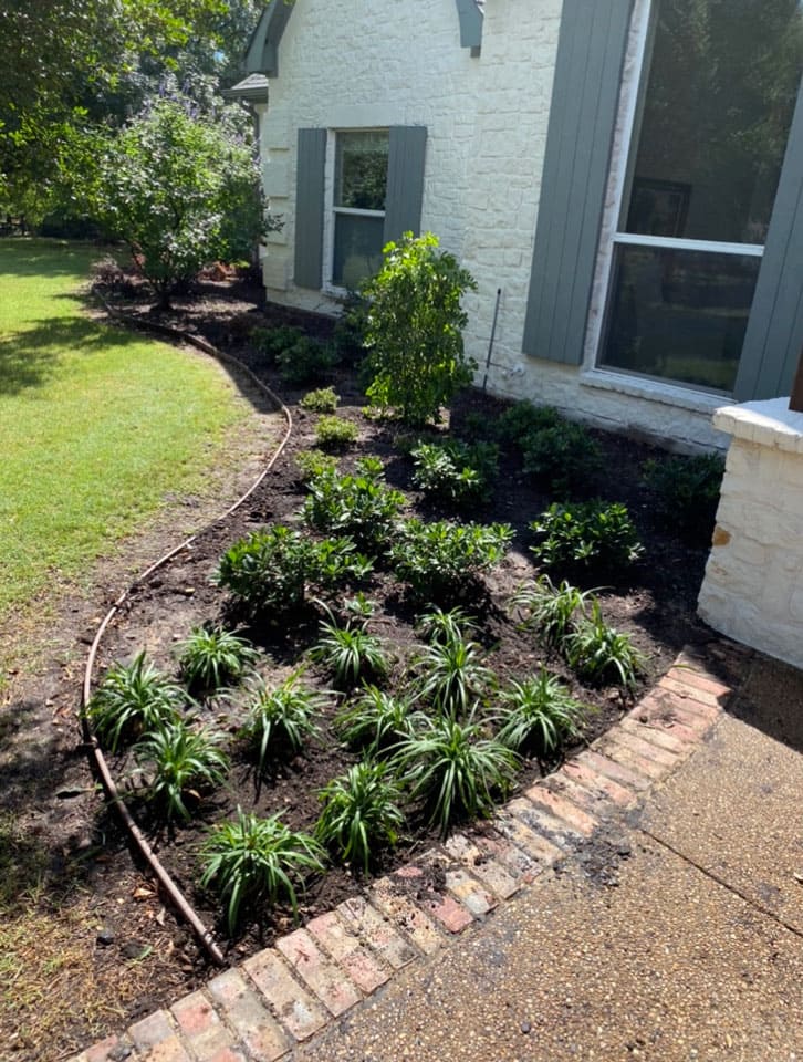 Freshly planted garden bed with small shrubs and green plants next to a white stone house with gray shutters.
