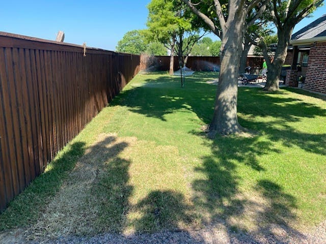 Backyard with green grass, a large tree casting shadows, a wooden fence, and a brick house on a sunny day.
