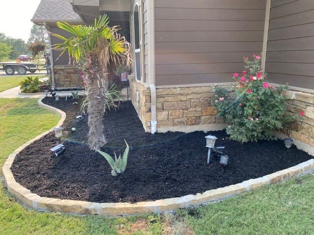 Front yard garden bed with a small palm tree, an aloe plant, a flowering shrub, black mulch, stone edging, and landscape lights near a house corner with stone and siding exterior.