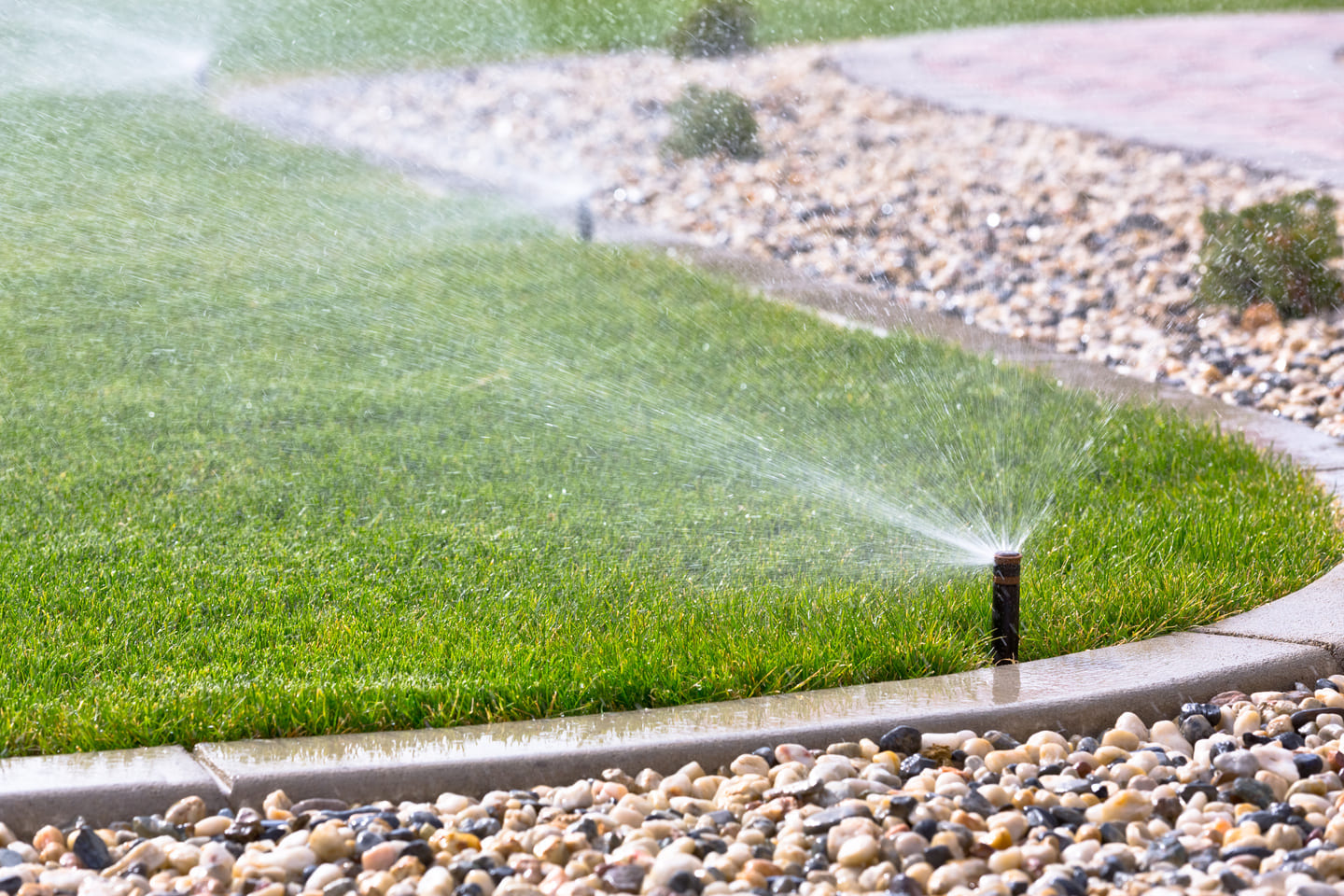 Automatic lawn sprinkler watering a curved green grass lawn bordered by a stone mulch bed.