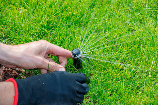 Person adjusting a lawn sprinkler spraying water on green grass.
