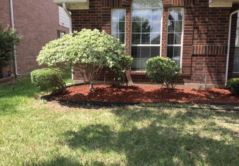 Well-maintained front yard with trimmed bushes and mulched flower bed in front of a brick house with large windows.