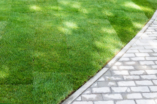 Green, well-maintained lawn adjacent to a curved gray brick pathway.
