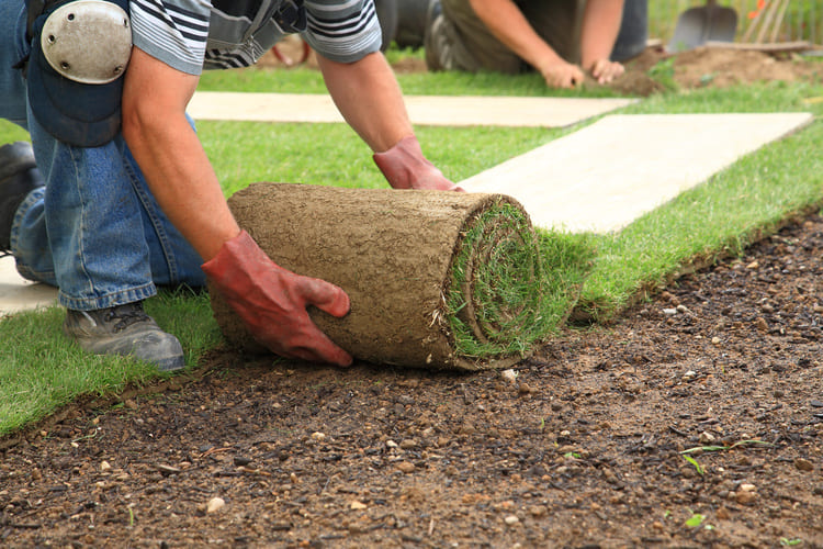 Worker wearing red gloves rolling out sod onto prepared soil in a garden with another person working in the background.